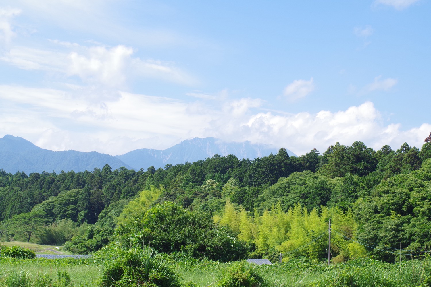 大山を望む、当別当育苗のある風景